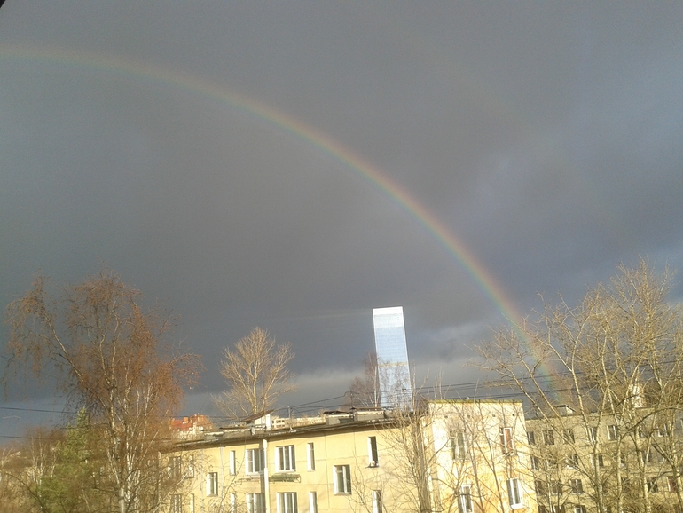 14.11. из окна