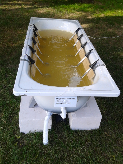 Парк Кузьминки: настоящее и прошлое в одном флаконе