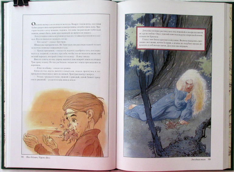 завойчинская книги. слушай птиц книга. дом на перекрестке милена завойчинская иллюстрации. хусни дил спор птиц. обложка книги слушай птиц.