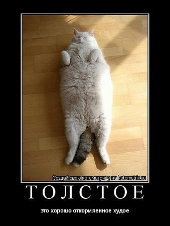 мотиваторы