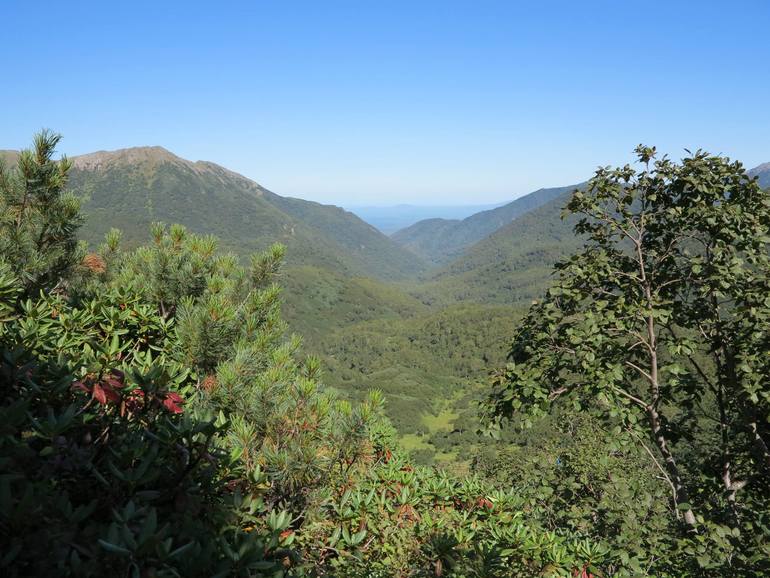 Камчатка - любовь моя. Осторожно, куча фото)