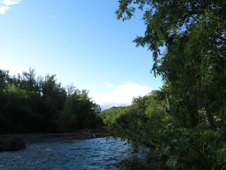 Камчатка - любовь моя. Осторожно, куча фото)