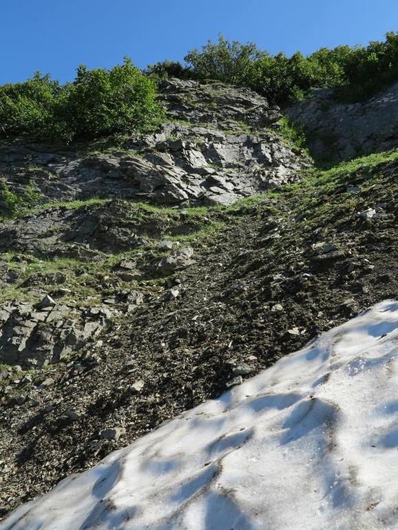 Камчатка - любовь моя. Осторожно, куча фото)