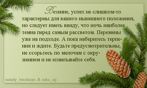 Зима мне обещает...