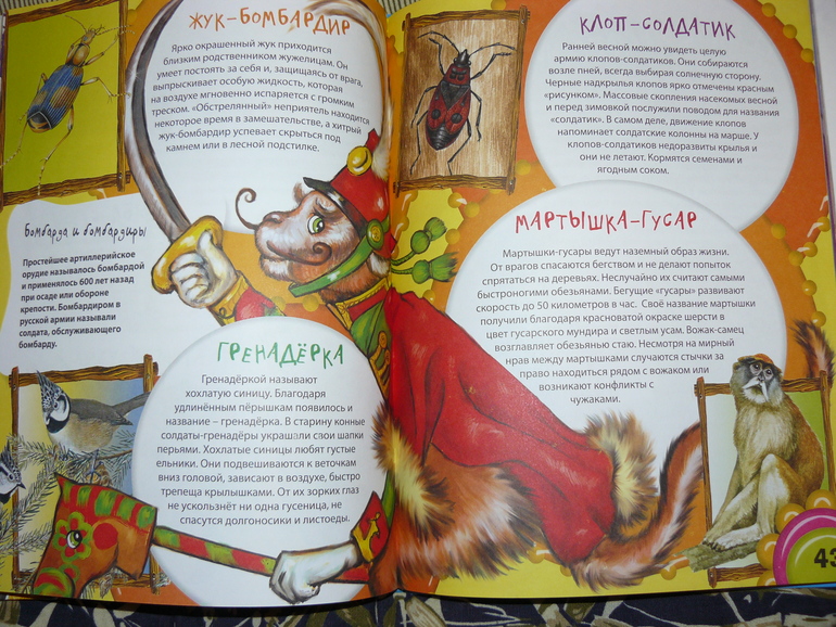 Профессии животных