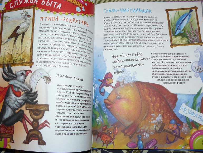 Профессии животных