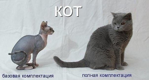 Позитивчик:)