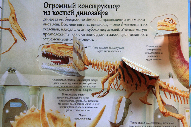 Динозаврики… Или новая дочкина любовь.