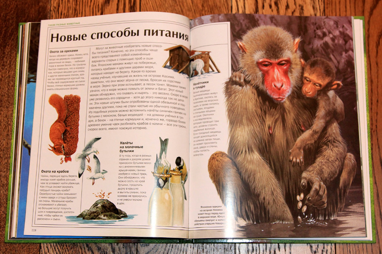 Атлас животных.