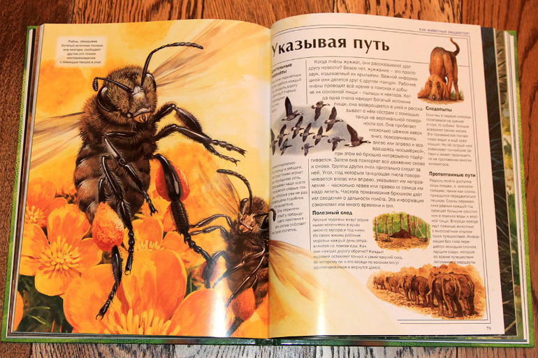 Атлас животных.