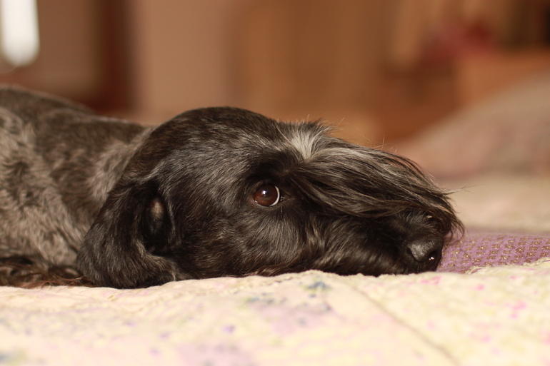 Свежие фоточки