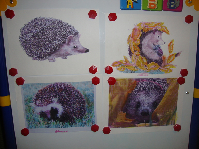 ТН "В осенним лесу"