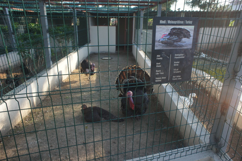 Club Hotel Turan Prince World 5* в мае