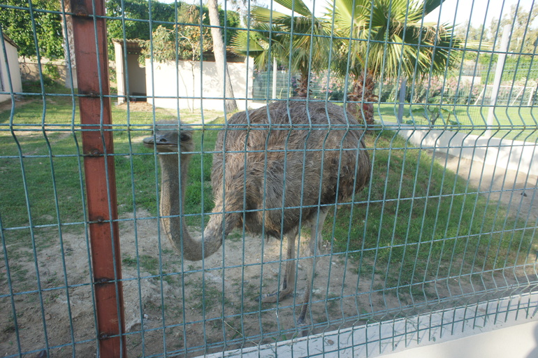 Club Hotel Turan Prince World 5* в мае