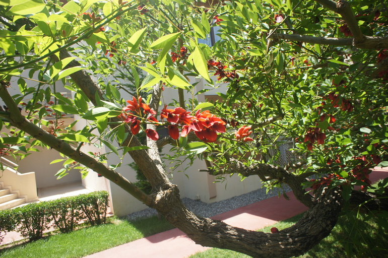 Club Hotel Turan Prince World 5* в мае