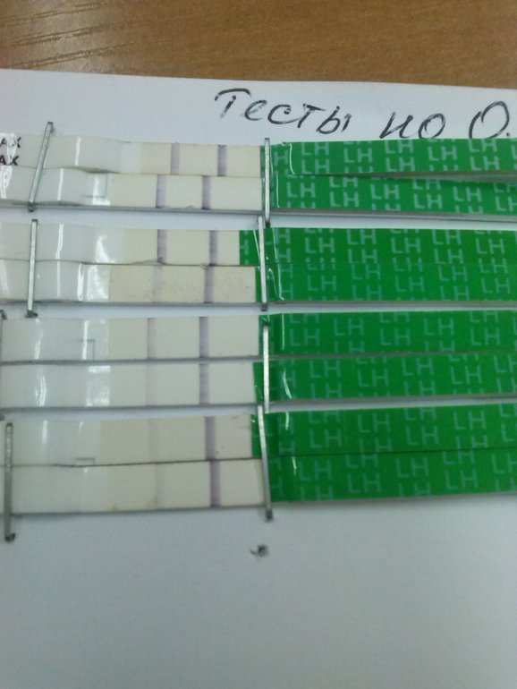 ТестоманиЯ!!! и как дальше жить???))))