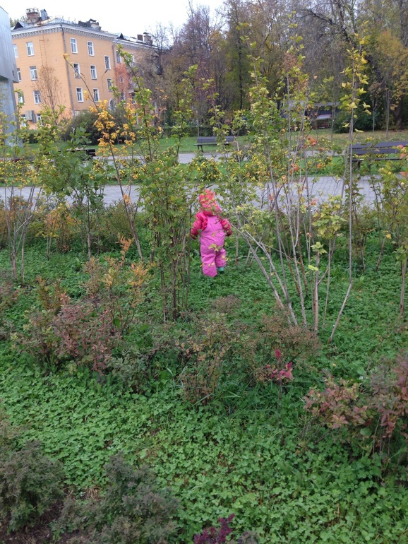 Наши гуляшки))