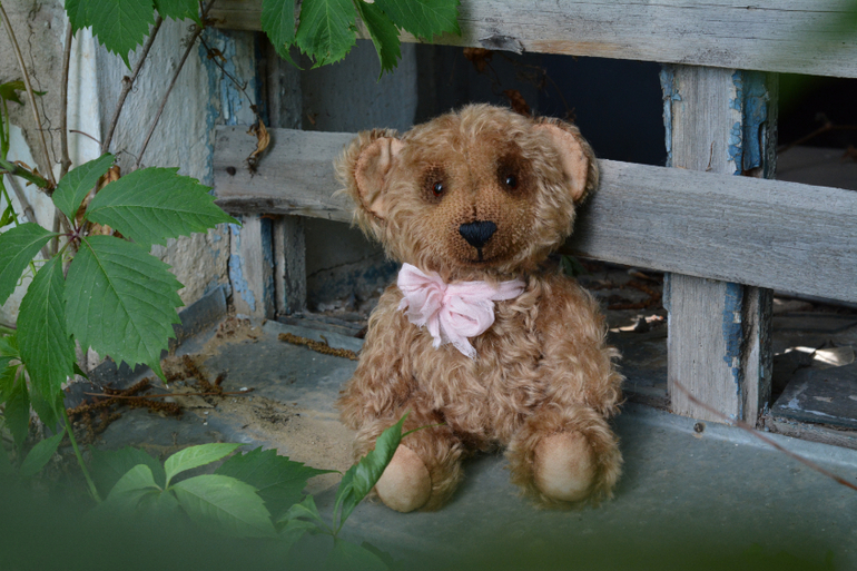 Мишку бросила хозяйка :)