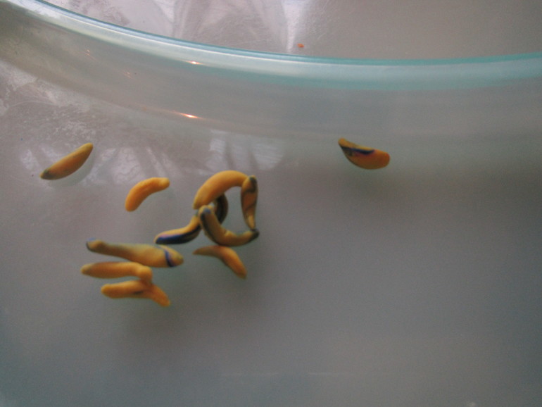 ФМ Готовим вместе с детьми.Банановые оладьи