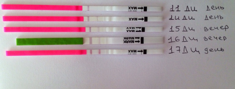 Тест положительный? Тесты на овуляцию
