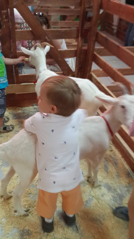 Контактный зоопарк (много фоток)