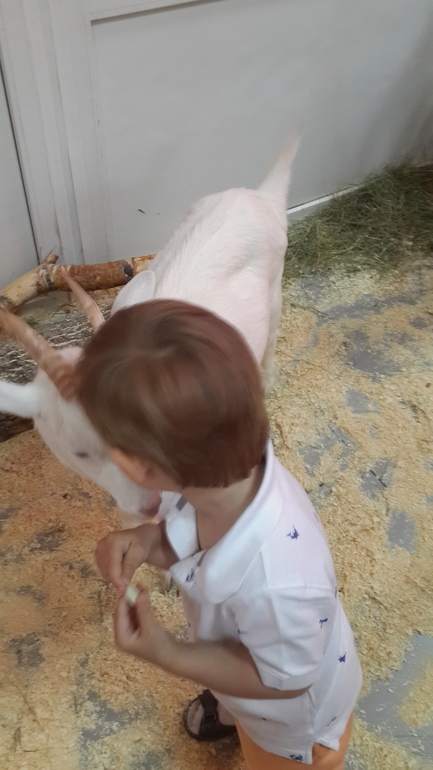 Контактный зоопарк (много фоток)