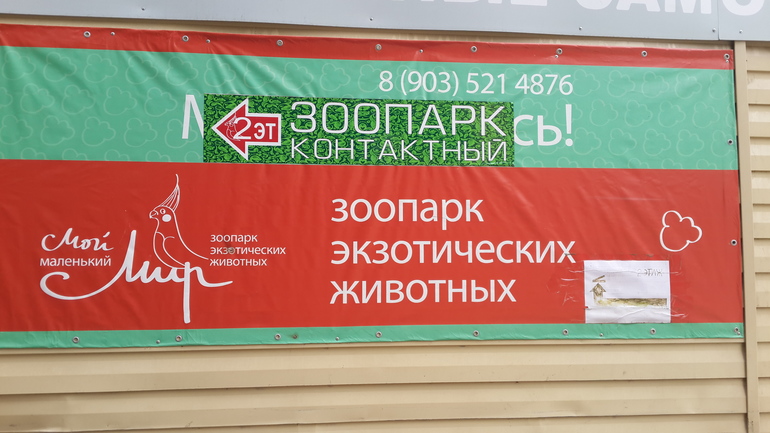 Контактный зоопарк (много фоток)