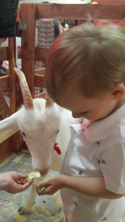 Контактный зоопарк (много фоток)