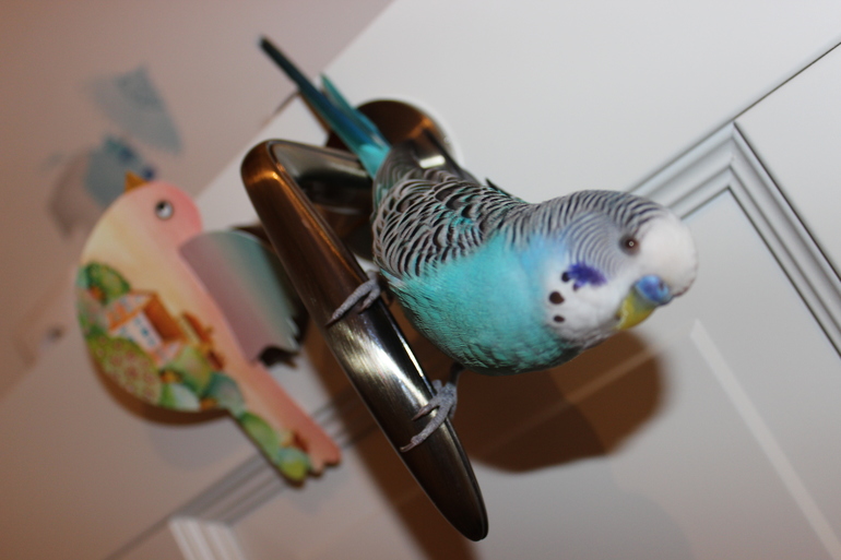 Добро пожаловать на нашу кухню!