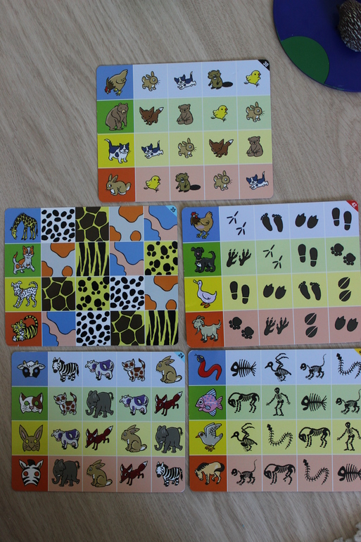 Игра с мишкой (Prof. teddy sabio)