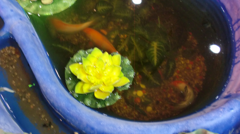 Контактный зоопарк на Тушинской (2г 5 мес)