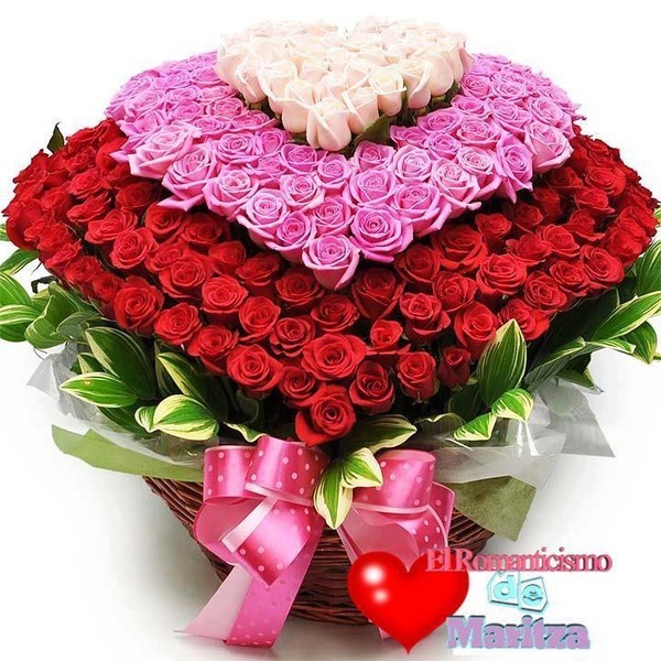 87d02cd204af3b41c6572c5a7790501d.jpg