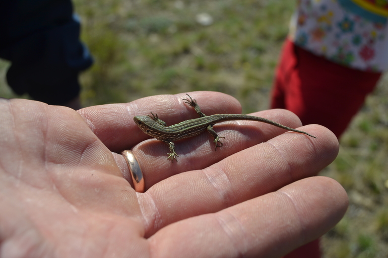 Пасха 2014. Поход