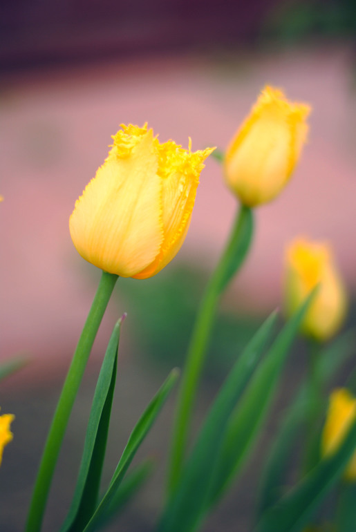 Первый шаг – самое простое и одновременно трудное…