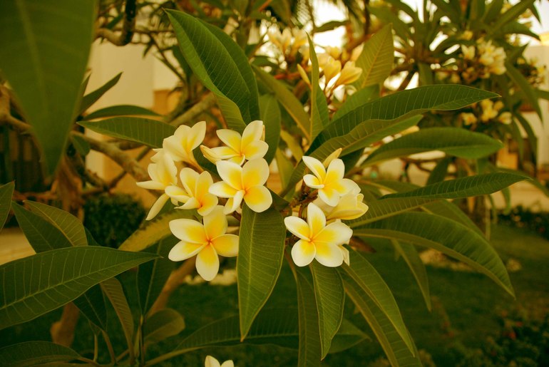 Контрольное задание № 6. Три способа цветокоррекций фотографий