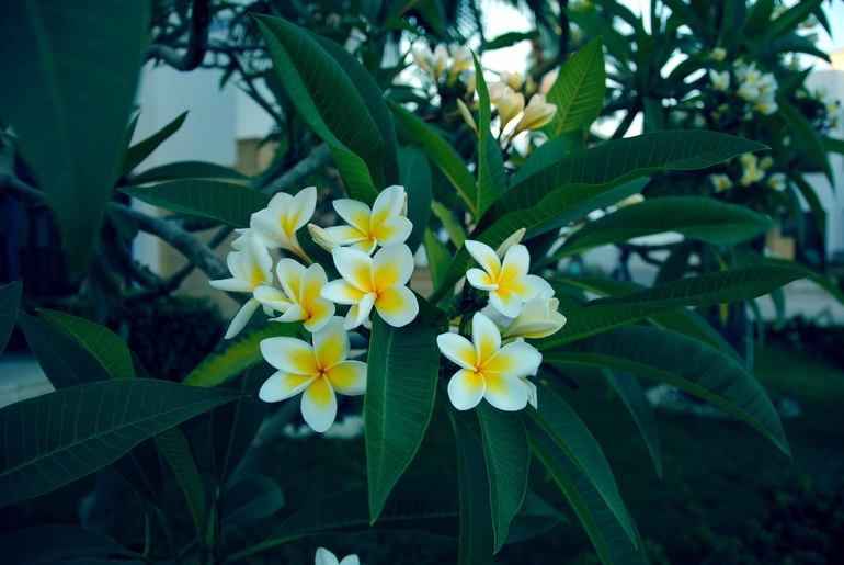 Контрольное задание № 6. Три способа цветокоррекций фотографий