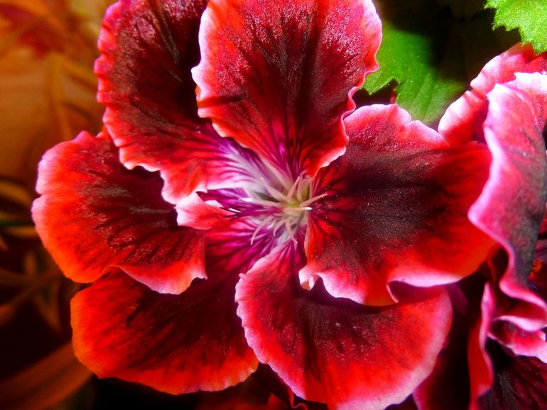 Немного похвастаюсь))