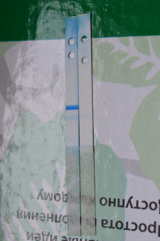 Вообщем, 10 ДПО