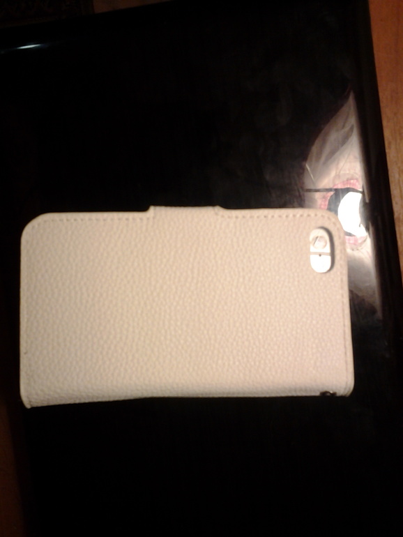 Алискин iphone 5