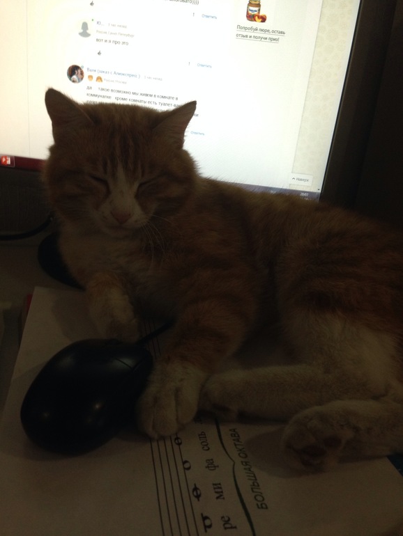 Рабочее место первоклассника!