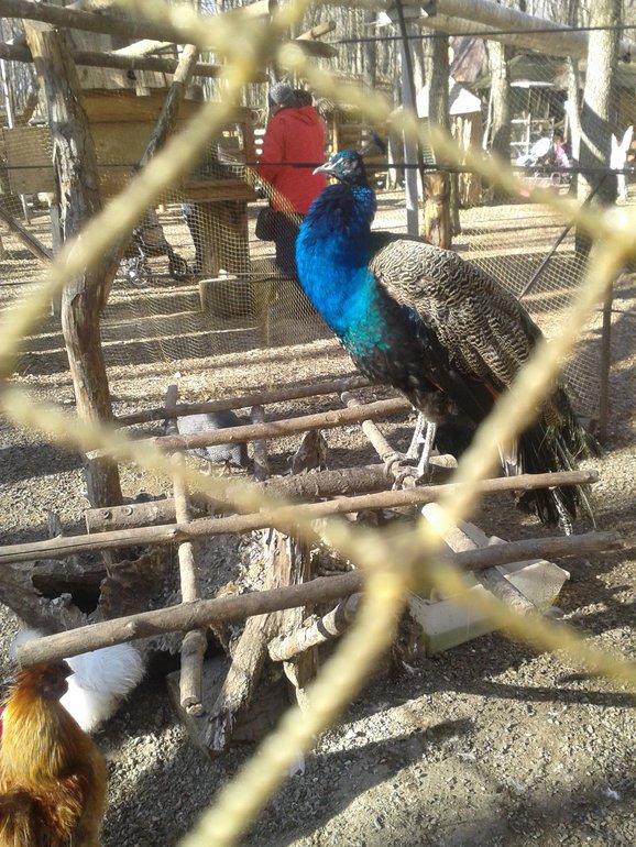 Наши выходные. Немного фото