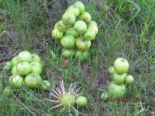 ФМ "Веселое лето" - День №4 " конструирование"