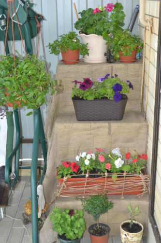 У меня цветущая весна!:)