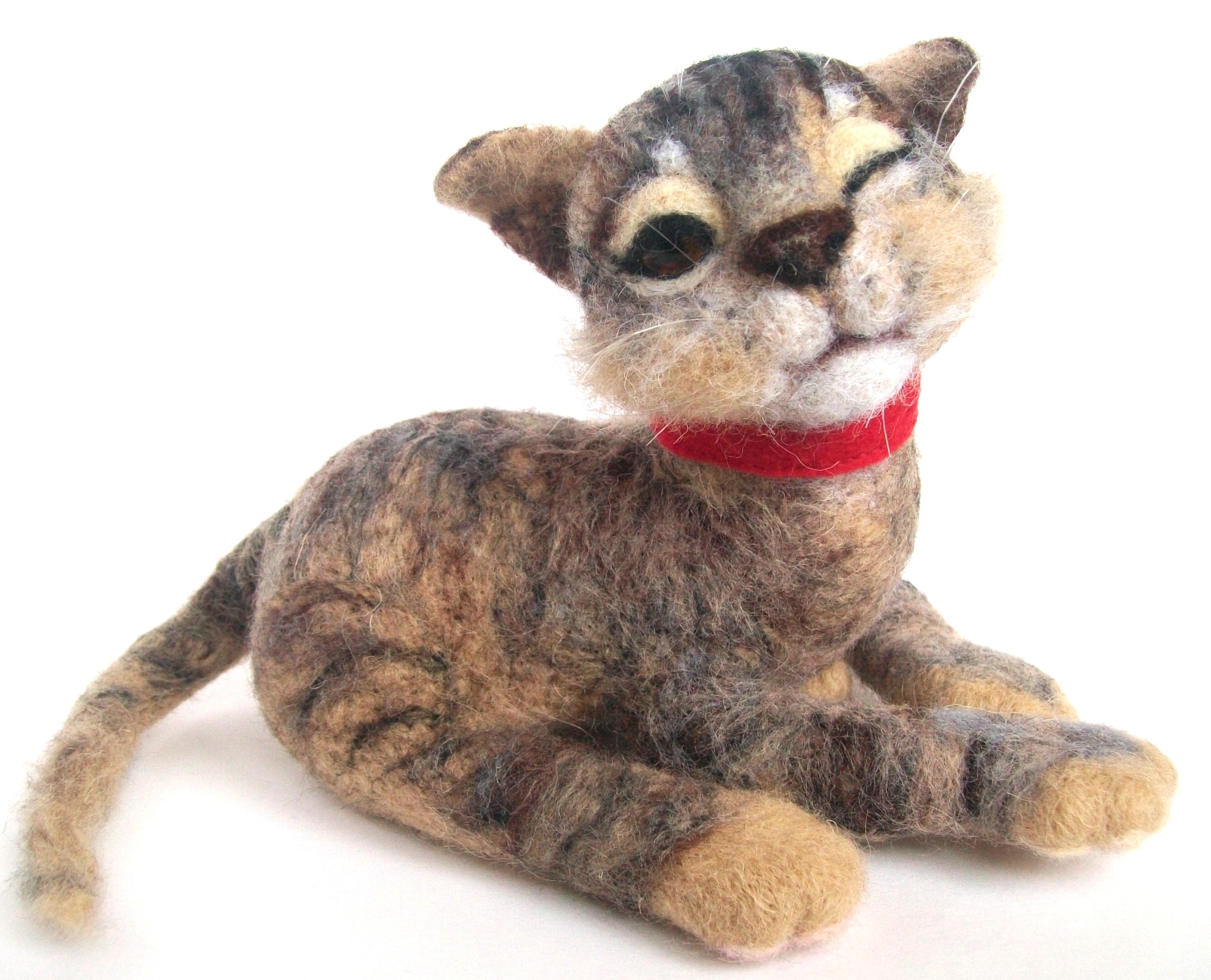 Сладкая кошачья парочка.