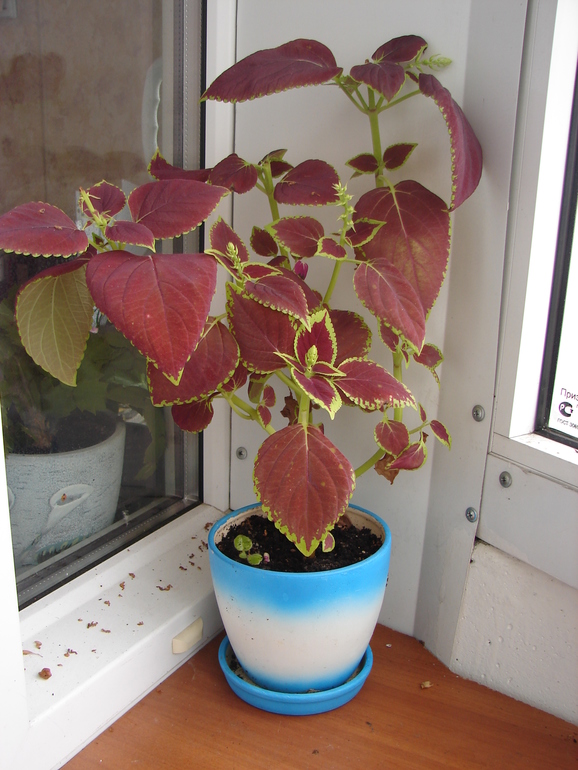 Мой обмен 13.11