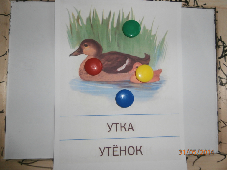 ТЗ Утка и Гусь
