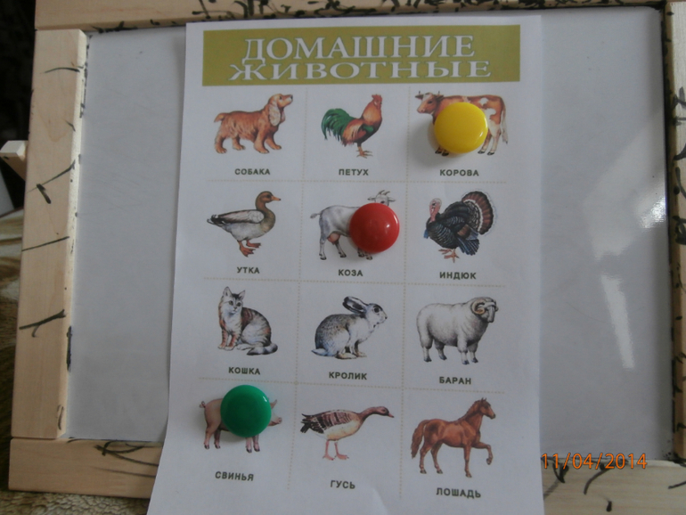 ТН 