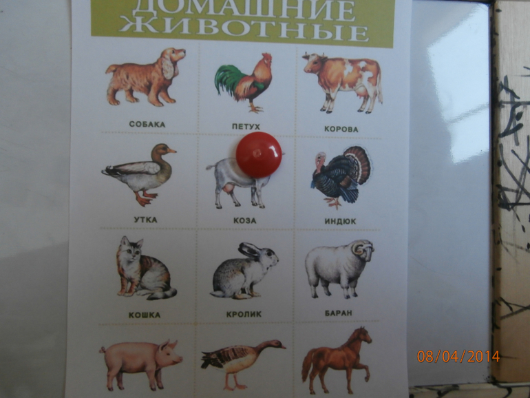 ТН