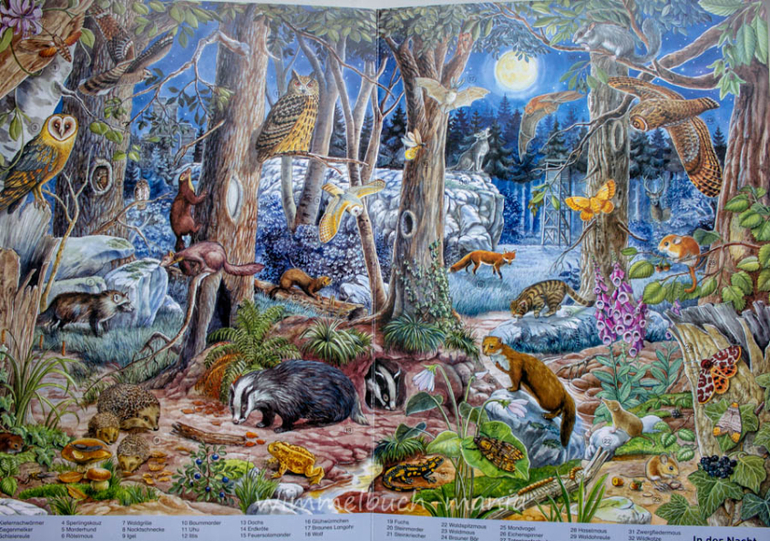 Wimmelbuch mania. Anne Suess. Ч.1