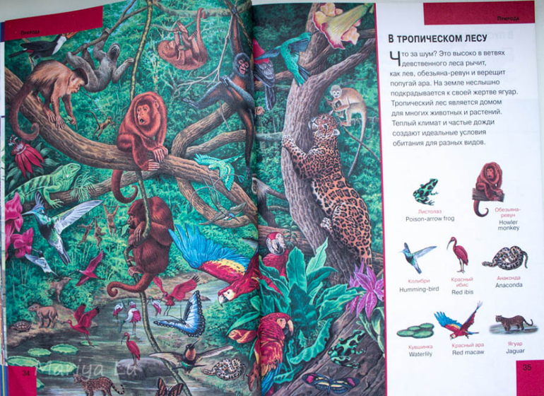 Еще одна бюджетная искалка.